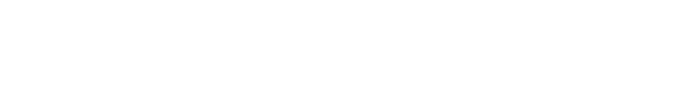 Neomorfica – Personal AI Integration